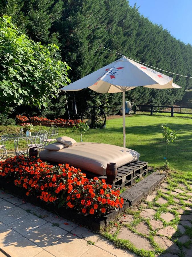 Agroturismo Anziola Villa Oiartzun Eksteriør billede